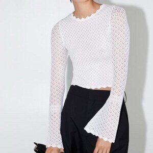Zara Ecru Scalloped Pointelle Knit Stretch Cropped Top, NWT, M